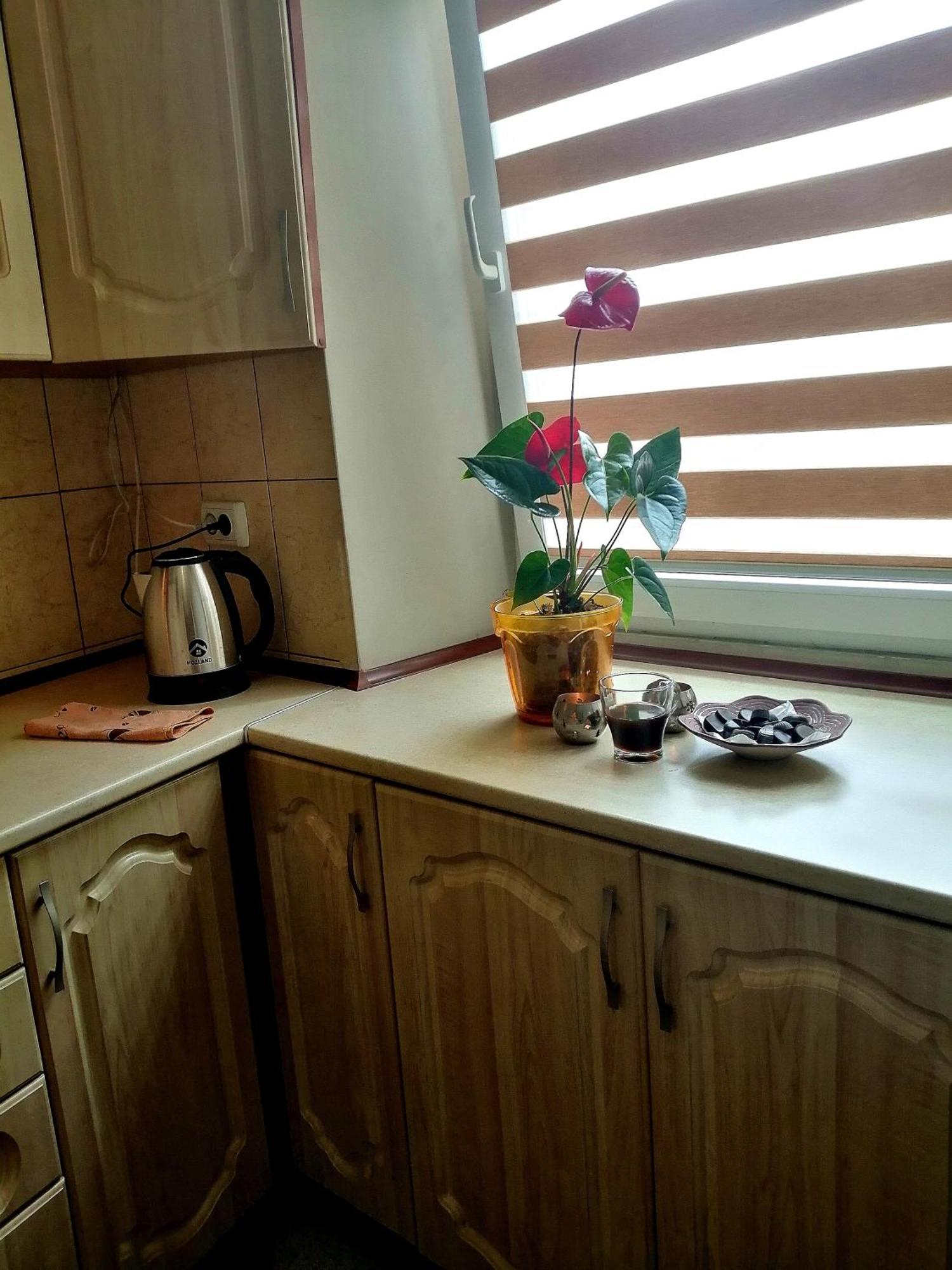 Flat On Sheptytskykh Daire *