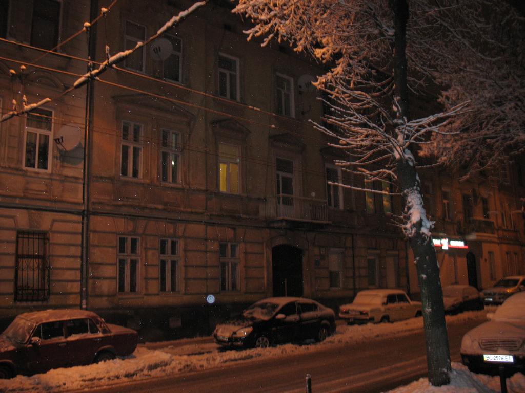 Flat On Sheptytskykh Daire *