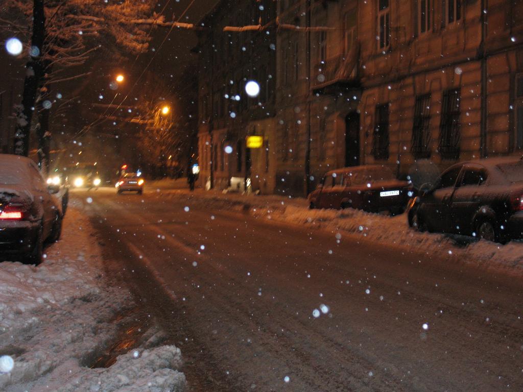 Daire Flat On Sheptytskykh