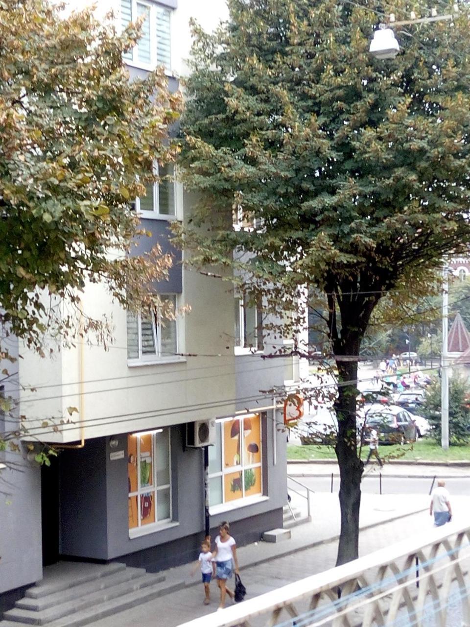 Flat On Sheptytskykh Daire *